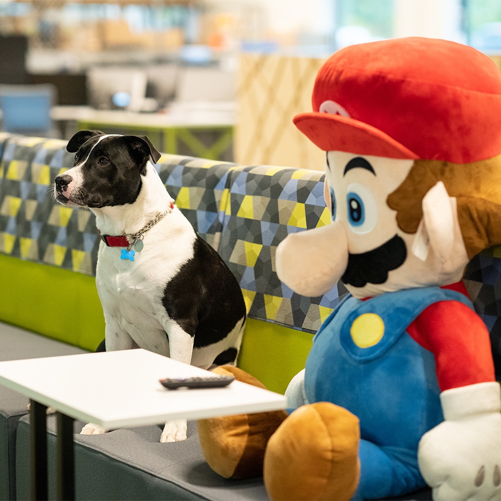 Dog sitting on couch next to mario plushie