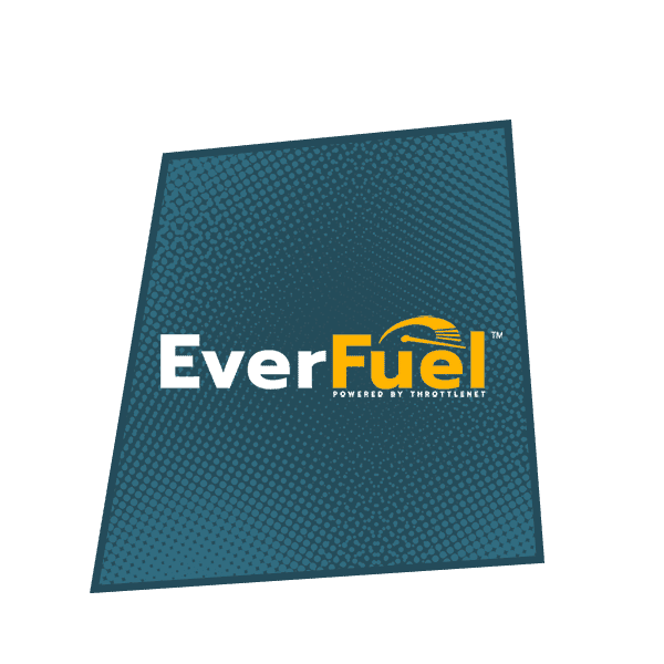 Everfuel logo