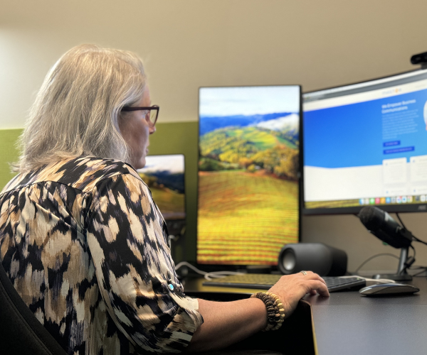 hybrid business cybersecurity