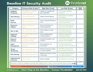 IT security audit tool